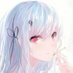 用户廿四格头像